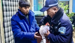 西藏日喀则：民辅警合力解救一只国家一级保护动物
