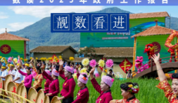 两会“靓”数｜数据看“进”