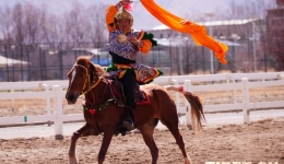 The Traditional Ethnic Equestrian Performance Was Held in Lhasa, Xizang