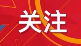 两会现场速递丨聚团结之力 展奋进之姿——来自全国政协十四届三次会议分组审议现场的报道