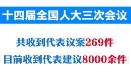 两会新华社权威快报丨十四届全国人大三次会议收到代表议案269件