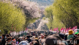 Galai Village: Happiness Blossoms in the Peach Forest