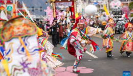 Peach blossom tourism, cultural festival kicks off in Nyingchi, China's Xizang