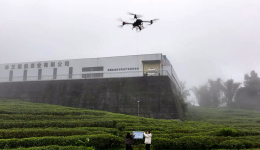 Drones lend a hand in tea harvesting in SW China's Xizang