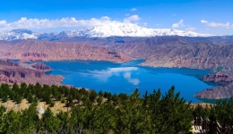 Study reveals impact of plant phenology changes on Qinghai-Tibet Plateau