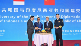 Chinese FM holds talks with Indonesian counterpart