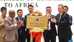 China Chamber of Commerce to Africa established to foster broader Sino-African cooperation
