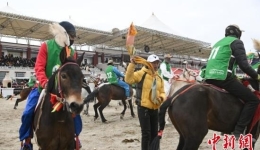 Top Racing Horses Gather in Lhasa for Exciting Competition