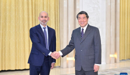 Chinese vice premier meets chairman of management committee of Abu Dhabi Investment Authority