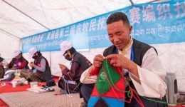 InXizang | Nagqu advances urban greening on 