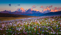 Exploring Picturesque Sichuan along the National Highway 317