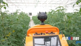 大数据育种、机器人嫁接、无人机施肥……智慧农机十八般武艺齐上阵