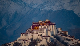 Chinese Embassy in Japan slams so-called 'Tibetan govt-in-exile' hype over reincarnatio