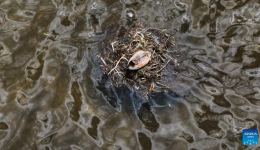 Scenery of Qinghai Longbao National Nature Reserve