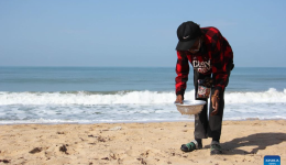 Shore cleanup event held to mark World Oceans Day