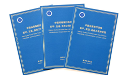 China committed to building South China Sea into sea of peace, friendship, cooperation: report