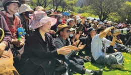 The 17th Yellow Peony Tibetan Medicine Cultural Tourism Festival Was Held in Mainling, Xizang