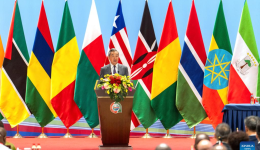 China, Africa push implementation of FOCAC Beijing Summit outcomes