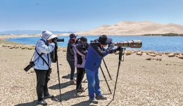 Bird race becomes learning opportunity