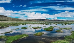 Study uncovers mechanism for grassland carbon sink on Qinghai-Tibet Plateau