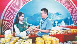 སྒོ་འབྱེད་མཉམ་ལས། ལྗང་མདོག་འཕེལ་རྒྱས།——2025ལོའི་མཚོ་སྔོན་ཚོང་ཚོགས་ཀྱི་ངོ་མཚར་ཉམས་སྣང་།