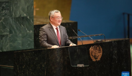 Chinese envoy calls for efforts to uphold int'l system with UN at core