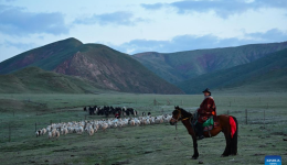 Summer pastures migration starts for herders in Qilian County, China's Qinghai