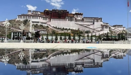 China Buddhist association issues statement on 14th Dalai Lama's reincarnation claims