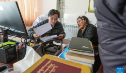 Xizang Story: Tibetan doctor brings ancient healing to global stage