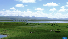 Ruoergai County in Sichuan enters peak summer tourism season