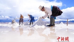 （辉煌60载 魅丽新西藏）西藏阿里：千年“盐羊古道”生机依旧