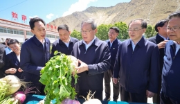 Chinese premier stresses high-quality implementation of major national projects