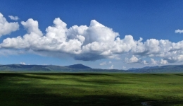 Study illuminates subsoil carbon pool changes on Qinghai-Tibet Plateau