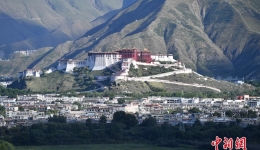 Picturesque Lalu Wetland in Summer