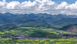 Feeling the pulse of rural revitalization in NW China's plateau villages