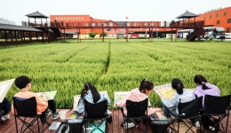 Study tour boom fuels China's countryside revival