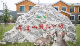 Rescue, protection efforts boost wildlife diversity in NW China's Qilian Mountains