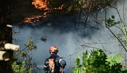 Heat, drought, negligence: drivers of Europe's 2025 wildfire crisis