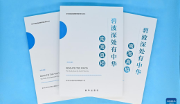 Think tank reports expound on truths about South China Sea