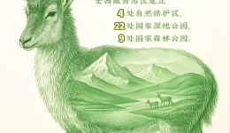 守护高原生命，共建绿色家园