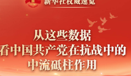 新华社权威速览｜从这些数据，看中国共产党在抗战中的中流砥柱作用