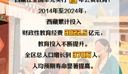 发展为民  幸福同行    西藏民生保障新跨越