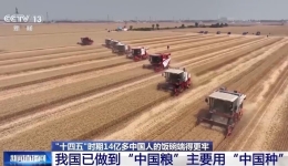 人均粮食占有量达500公斤 14亿多中国人的饭碗端得更牢
