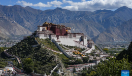 View of Potala Palace in China's Xizang