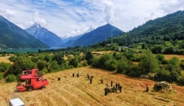 A Harvest Scene in Kyerpa Village, Nyingchi