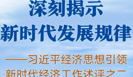 深刻揭示新时代发展规律——习近平经济思想引领新时代经济工作述评之二
