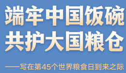 端牢中国饭碗 共护大国粮仓——写在第45个世界粮食日到来之际