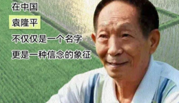 世界粮食日：每当吃饱了，我们就想起他