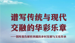 谱写传统与现代交融的华彩乐章——智库报告解析西藏的乡村发展与文化传承