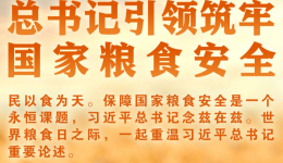 学习进行时丨总书记引领筑牢国家粮食安全